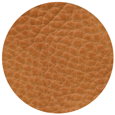 wildleather-image01-01