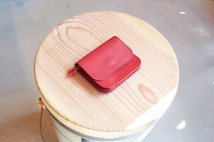 ����ͥ���6