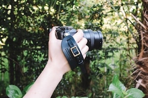 ����ͥ���3