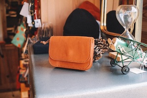 ����ͥ���1